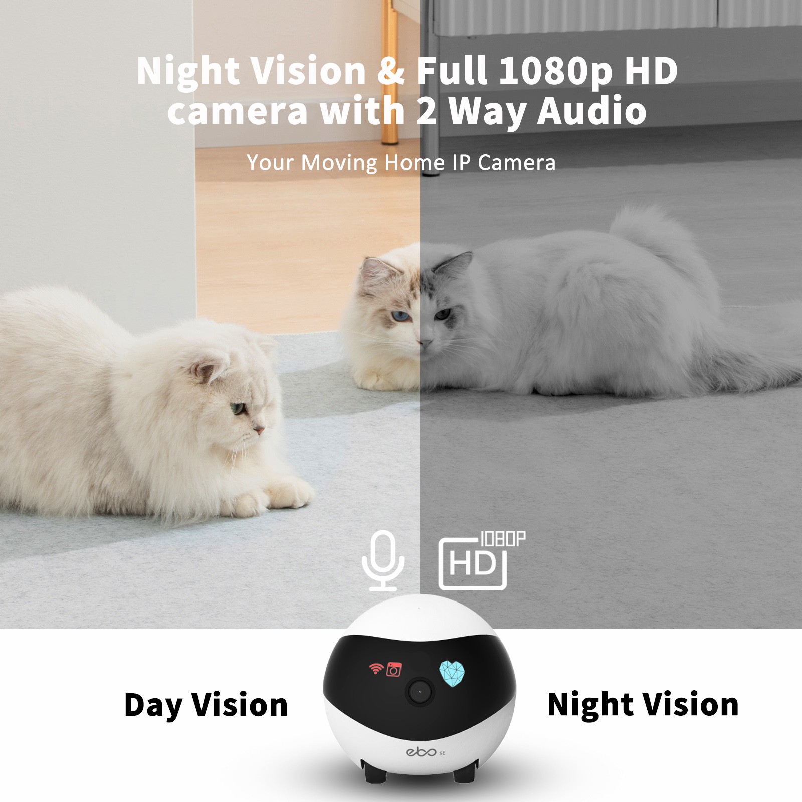 EBO SE 스마트 홈 로봇 동반자 보안 카메라 108 - Home Security Robot 리뷰 및 가격