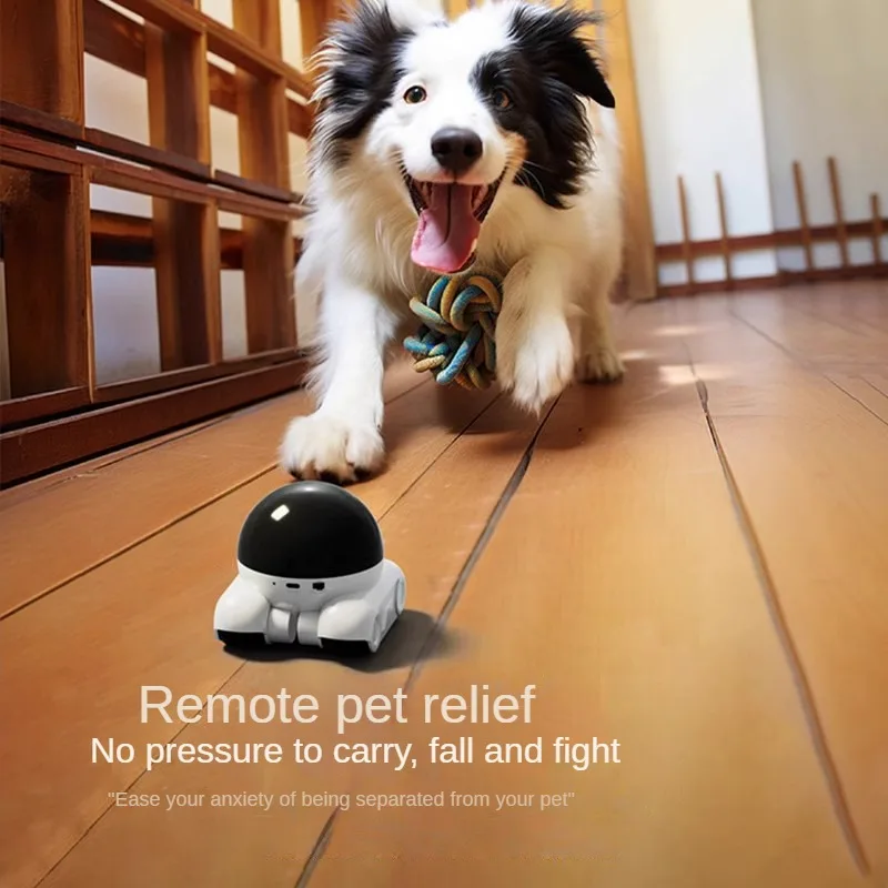 4MP IP 카메라 5G WiFi 듀얼 렌즈 스마트 홈 - Home Security Robot 리뷰 및 가격