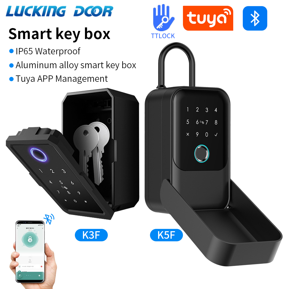 Tuya 스마트 라이프 앱 또는 TTLock APP 야 - Safe Box Digital 리뷰 및 가격