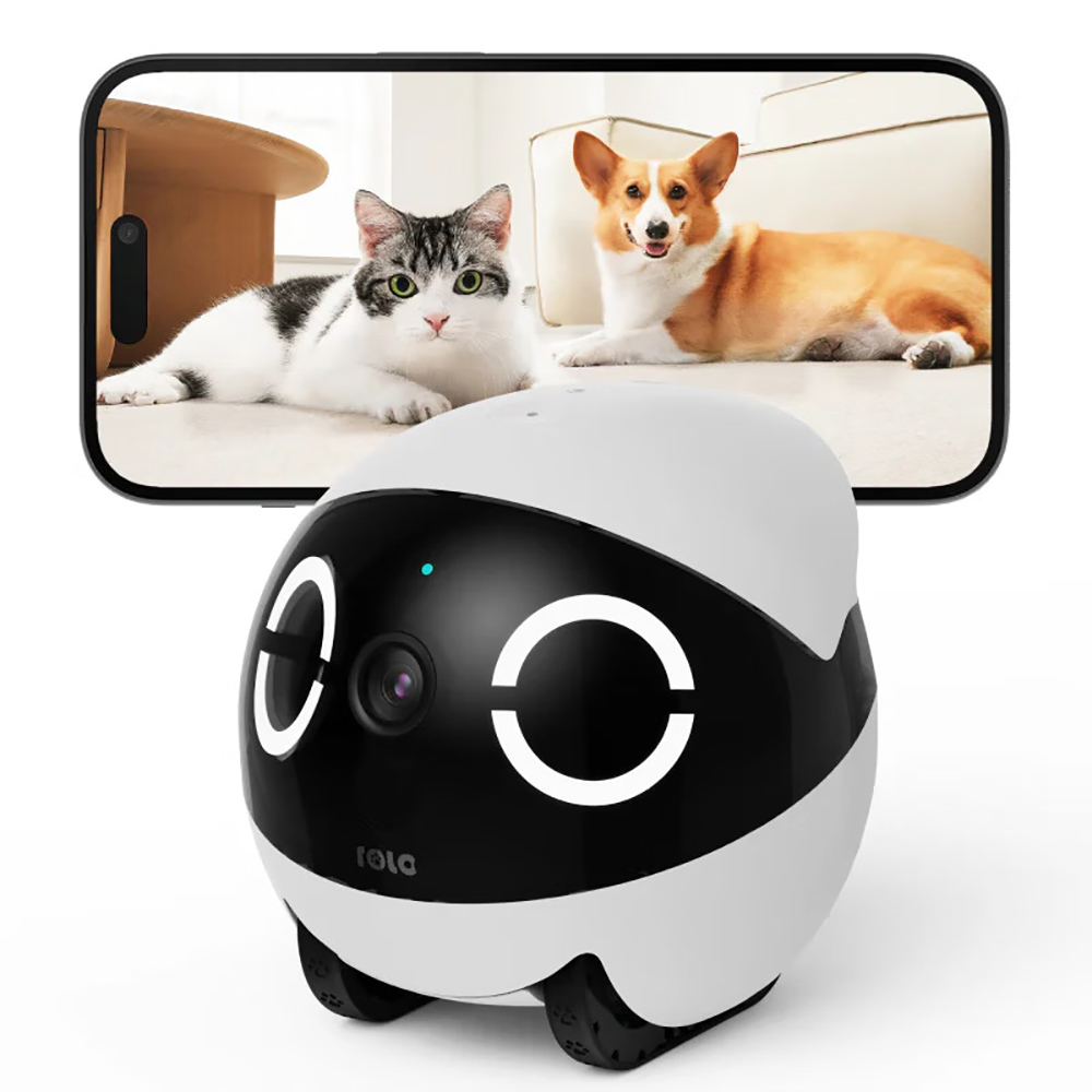 홈 시큐리티 애완동물 텀블러 디자인 실시간 제어 미니  - Home Security Robot 리뷰 및 가격